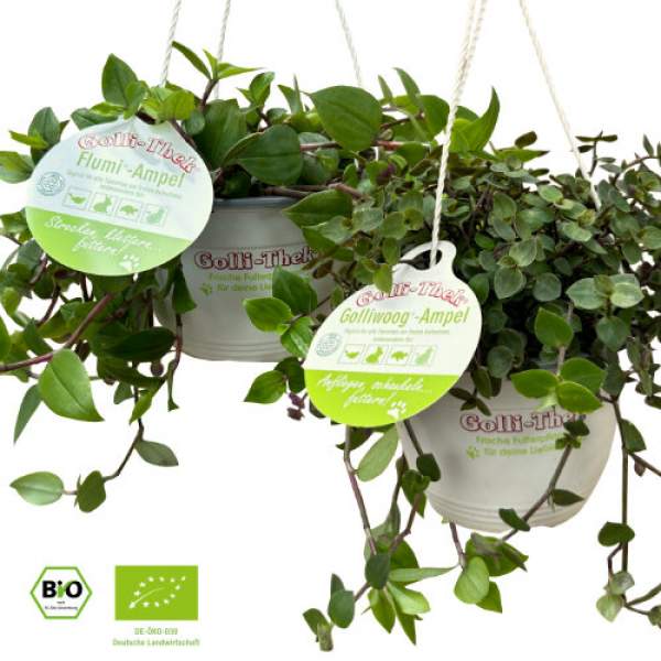 Golli-Thek® Futterampeln Ampel Mix